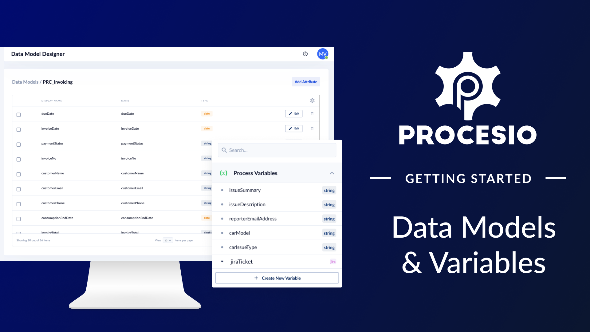 Data Model Designer & Variables